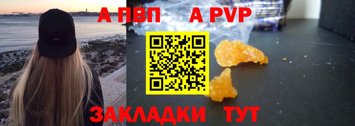 Alfa_PVP СК Белово